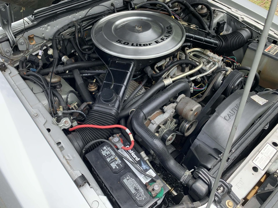 1984 Ford Mustang GT 3rd Gen - Image 16 of 31