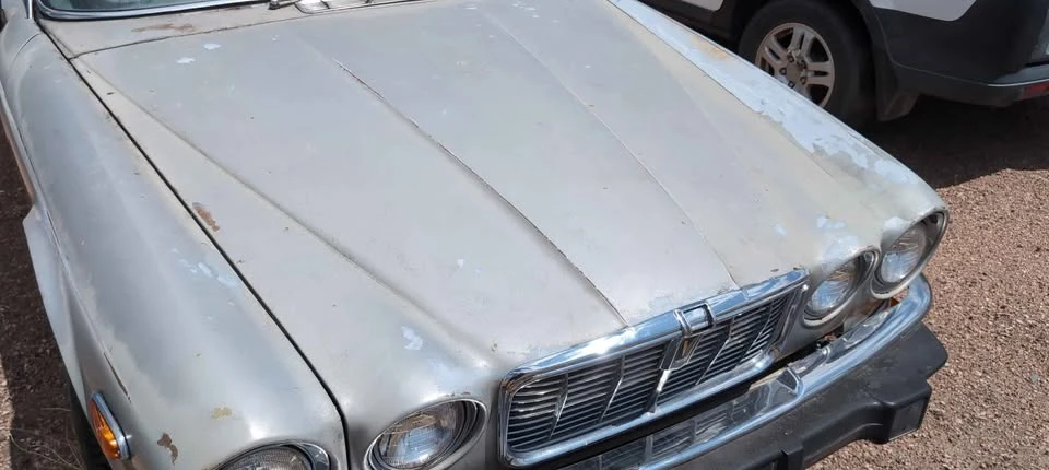 1974 Jaguar Replica - Image 3 of 6