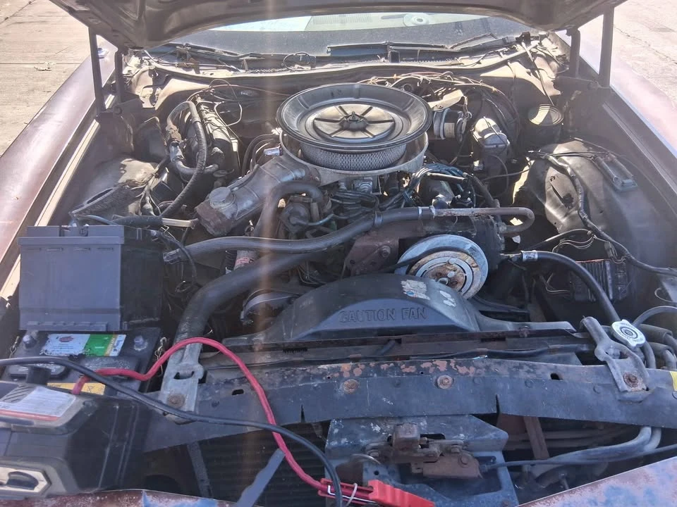 Ford Ranchero 5th-7th Gen - Image 3 of 5