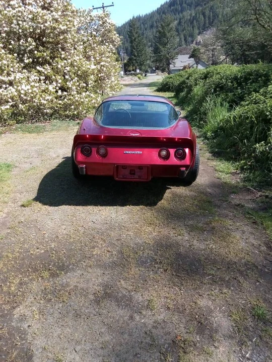 1979 Chevrolet Corvette C3 - Image 4 of 5