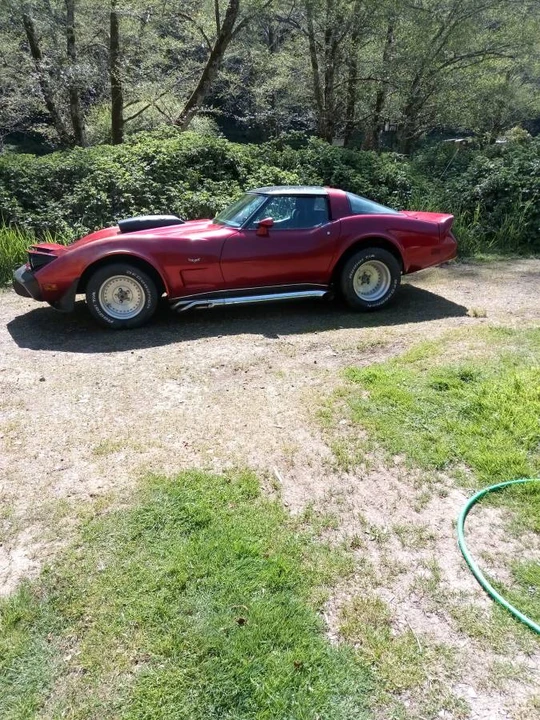 1979 Chevrolet Corvette C3 - Image 3 of 5