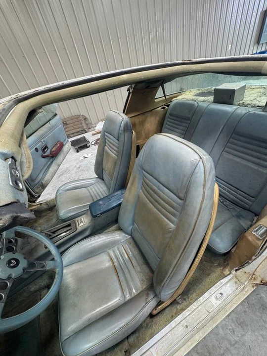 1979 Pontiac Firebird 2nd Gen - Image 6 of 8