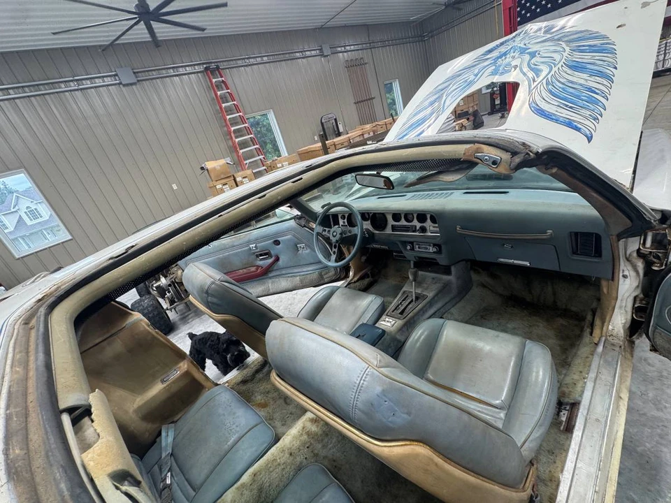 1979 Pontiac Firebird 2nd Gen - Image 7 of 8