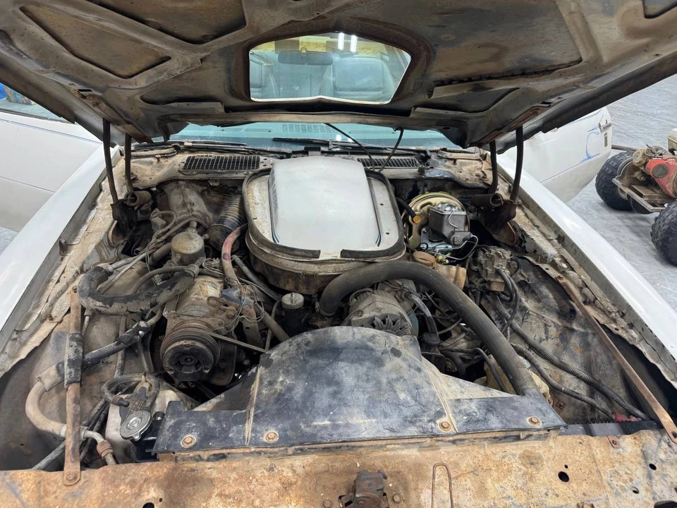1979 Pontiac Firebird 2nd Gen - Image 8 of 8