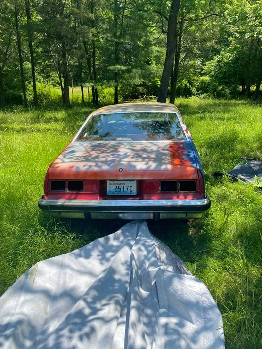 1979 Chevrolet Nova 4th Gen - Image 7 of 8