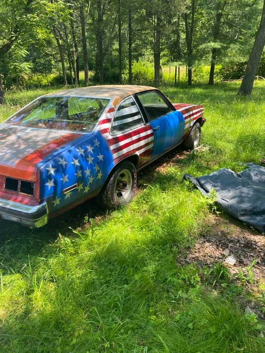 1979 Chevrolet Nova 4th Gen - Image 6 of 8