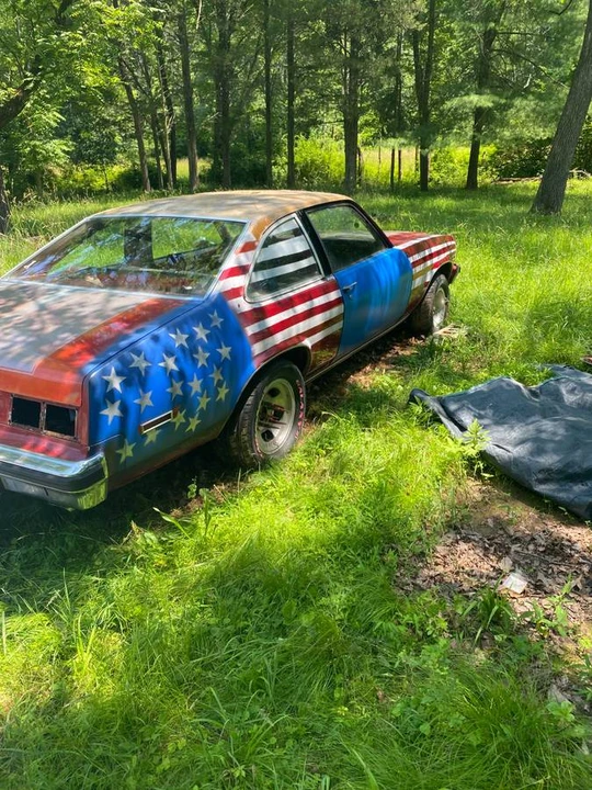 1979 Chevrolet Nova 4th Gen - Image 2 of 14