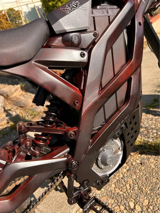 Falcon - Image 2 of 6