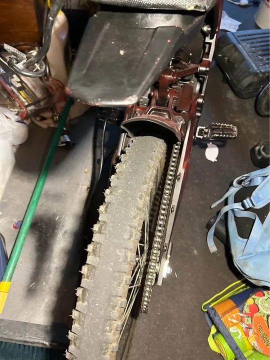 Falcon - Image 3 of 6