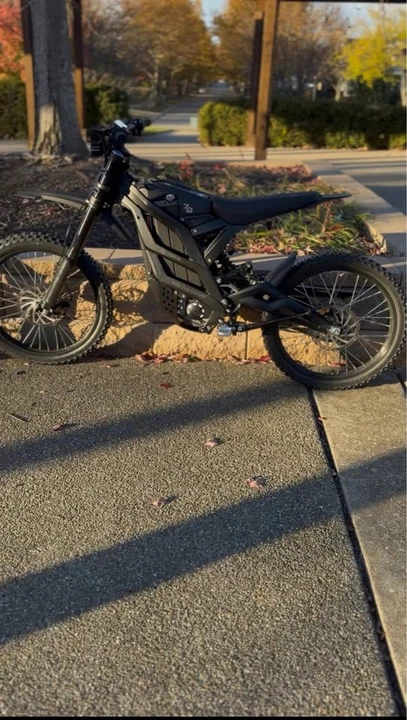 Falcon - Image 2 of 6