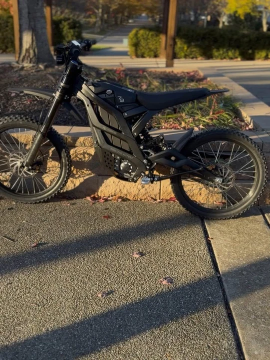 Falcon - Image 5 of 6