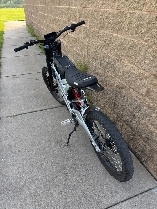Falcon - Image 2 of 6