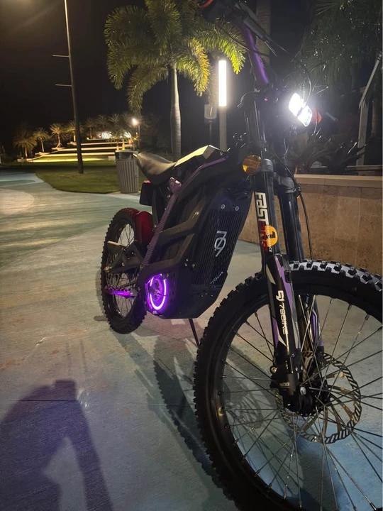 Falcon - Image 10 of 10