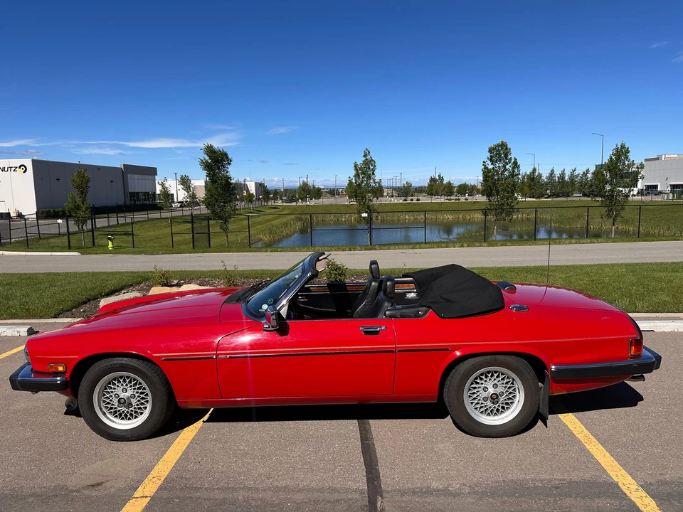 1989 Jaguar XJS Convertible - Image 5 of 31