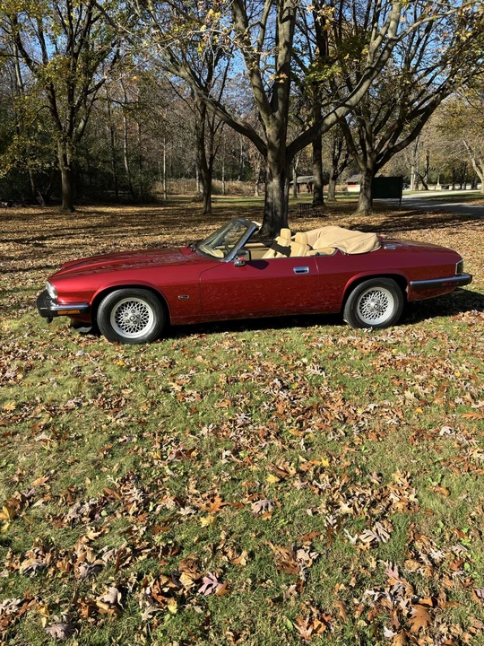 1993 Jaguar XJS Convertible - Image 4 of 31