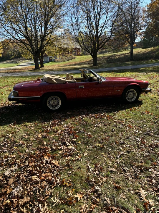 1993 Jaguar XJS Convertible - Image 11 of 31