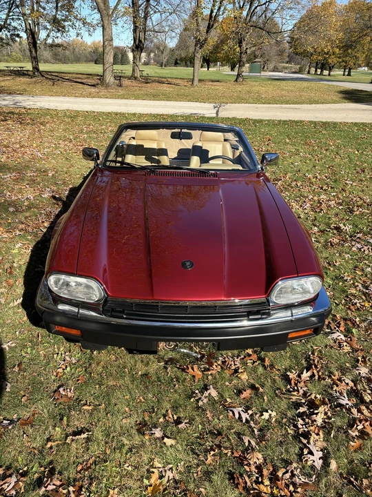 1993 Jaguar XJS Convertible - Image 15 of 31