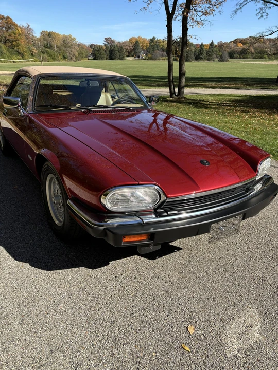 1993 Jaguar XJS Convertible - Image 29 of 31
