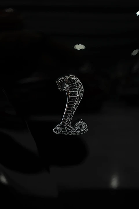2003 Ford SN95 Mustang Cobra - Image 22 of 31