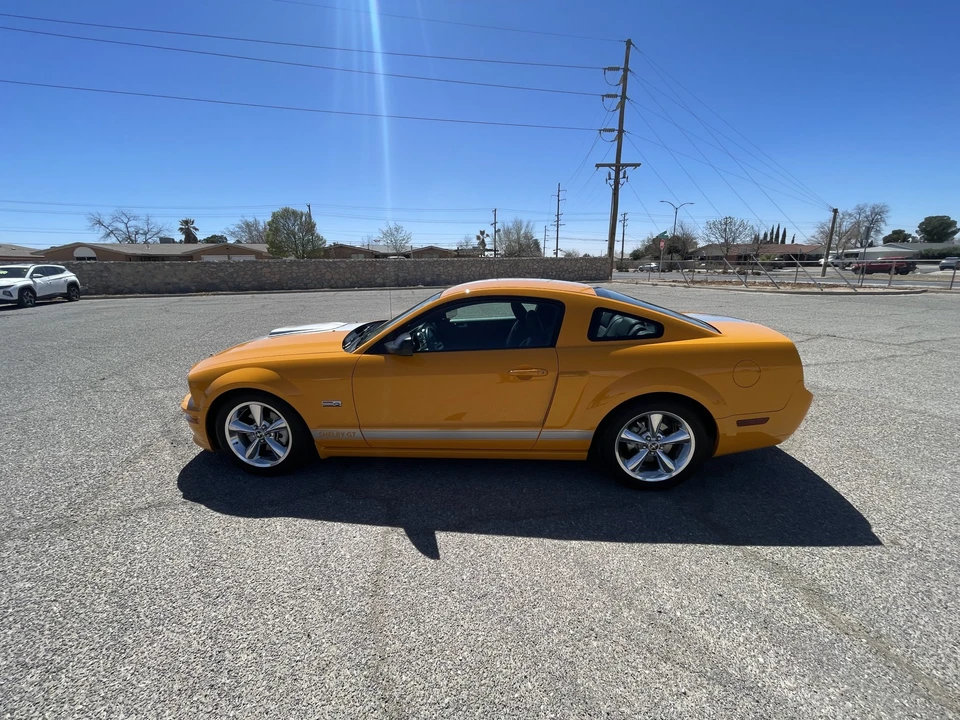 2008 Ford S197 I Shelby Mustang CS6/8 & GT & GT-H & Terlingua - Image 6 of 31