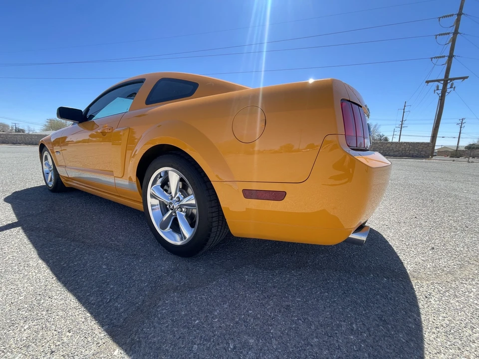 2008 Ford S197 I Shelby Mustang CS6/8 & GT & GT-H & Terlingua - Image 7 of 31