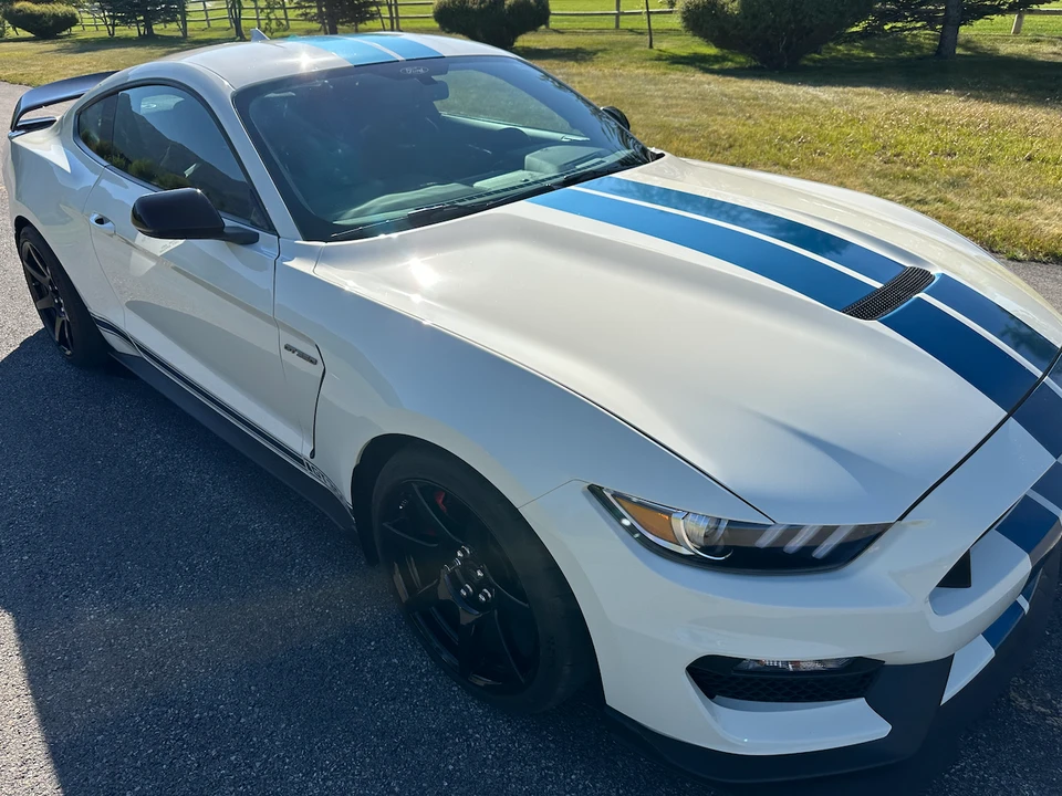 2020 Ford S550 Shelby Mustang GT350R - Image 15 of 31