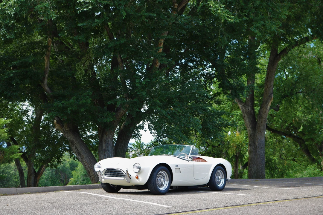 Shelby CSX Cobra Continuation - Image 2 of 31