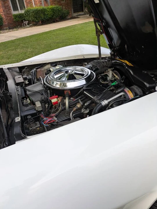 1981 Chevrolet Corvette C3 - Image 2 of 10