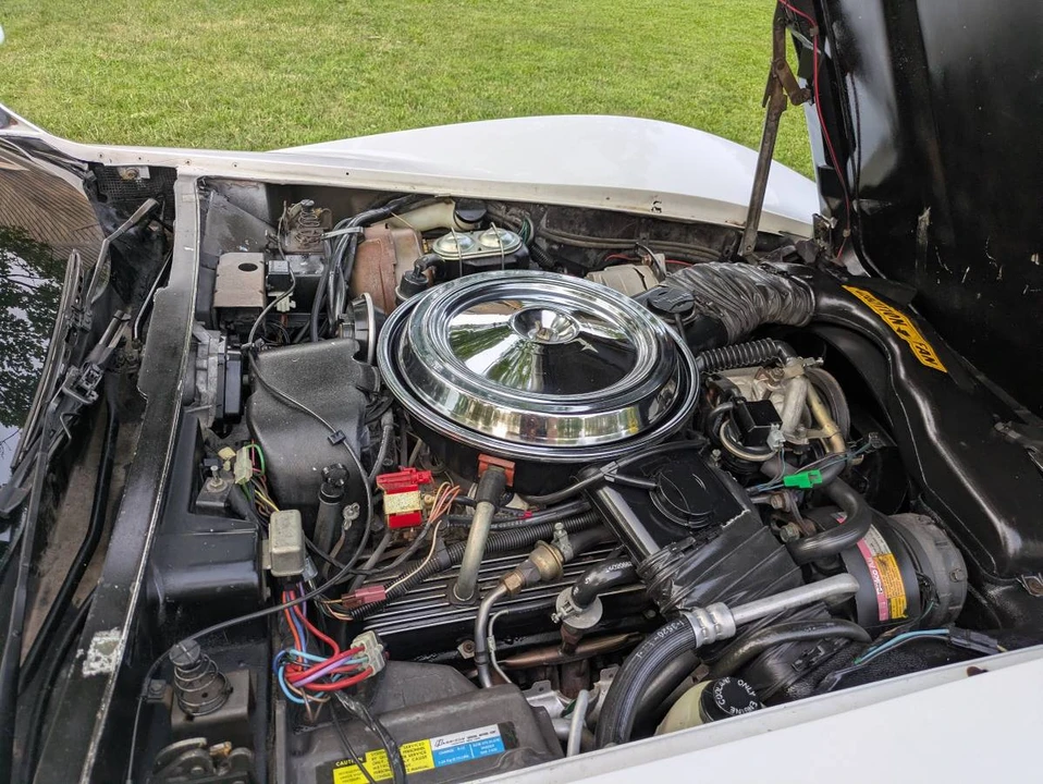 1981 Chevrolet Corvette C3 - Image 10 of 10
