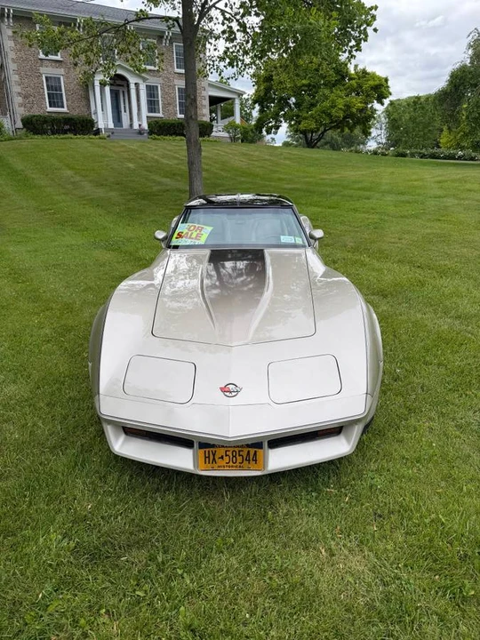 1982 Chevrolet Corvette C3 - Image 14 of 14