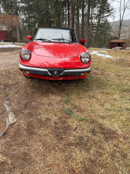 1983 Alfa Romeo Series 3 - Image 3 of 10