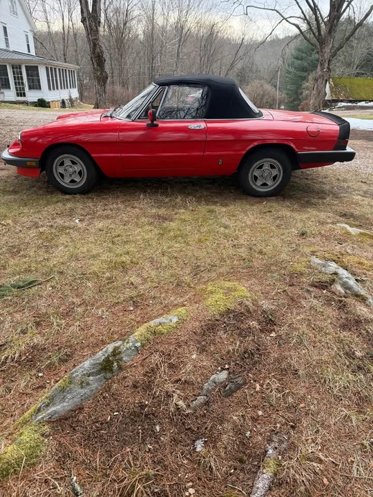 1983 Alfa Romeo Series 3 - Image 2 of 10