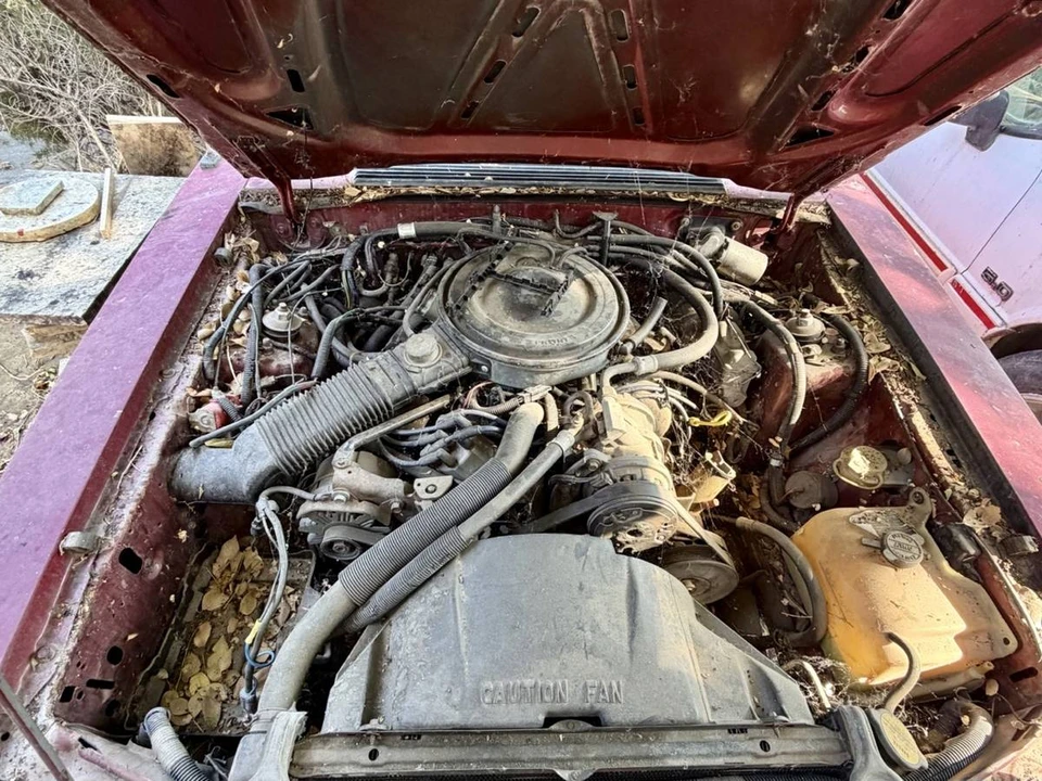 1985 Ford Mustang 3rd Gen - Image 11 of 13