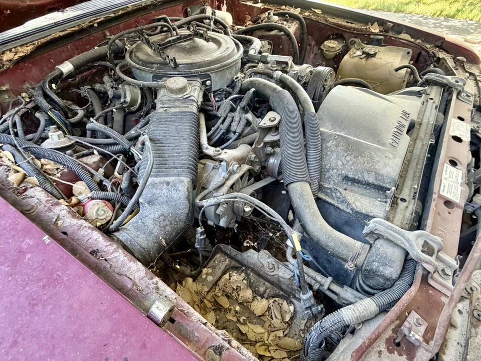 1985 Ford Mustang 3rd Gen - Image 12 of 15
