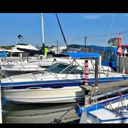 Sea Ray Boat
