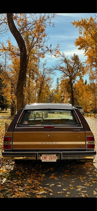 Buick Electra - Image 5 of 8