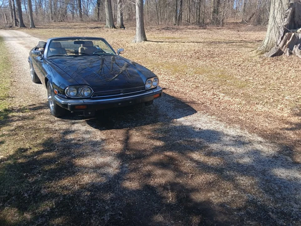 1989 Jaguar XJS Convertible - Image 5 of 5
