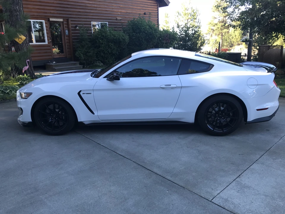 2016 Ford S550 Shelby Mustang GT350 - Image 21 of 31