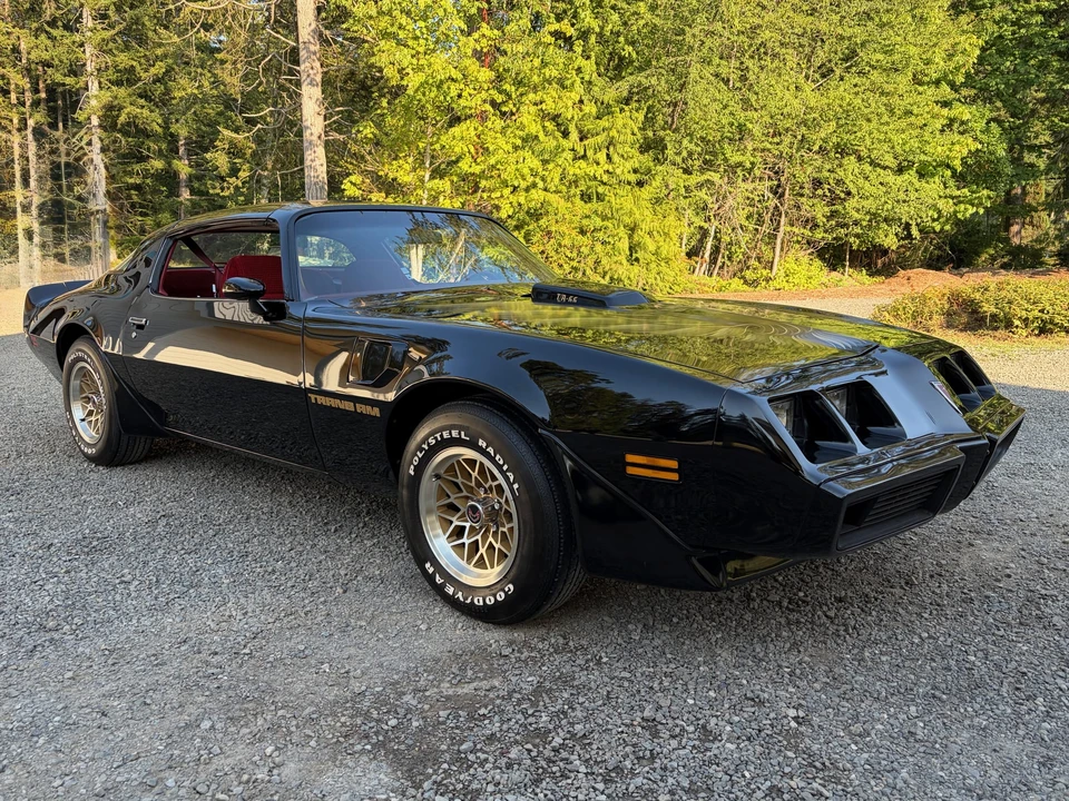 1979 Pontiac Firebird Trans Am 2nd Gen - Image 19 of 31