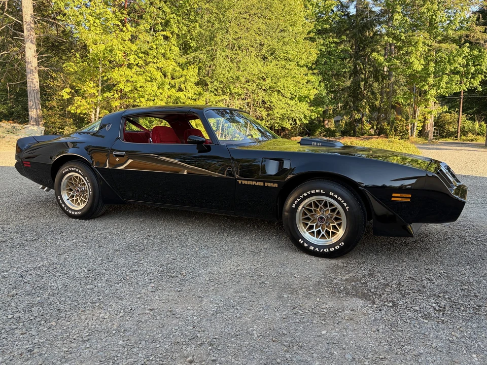 1979 Pontiac Firebird Trans Am 2nd Gen - Image 22 of 31