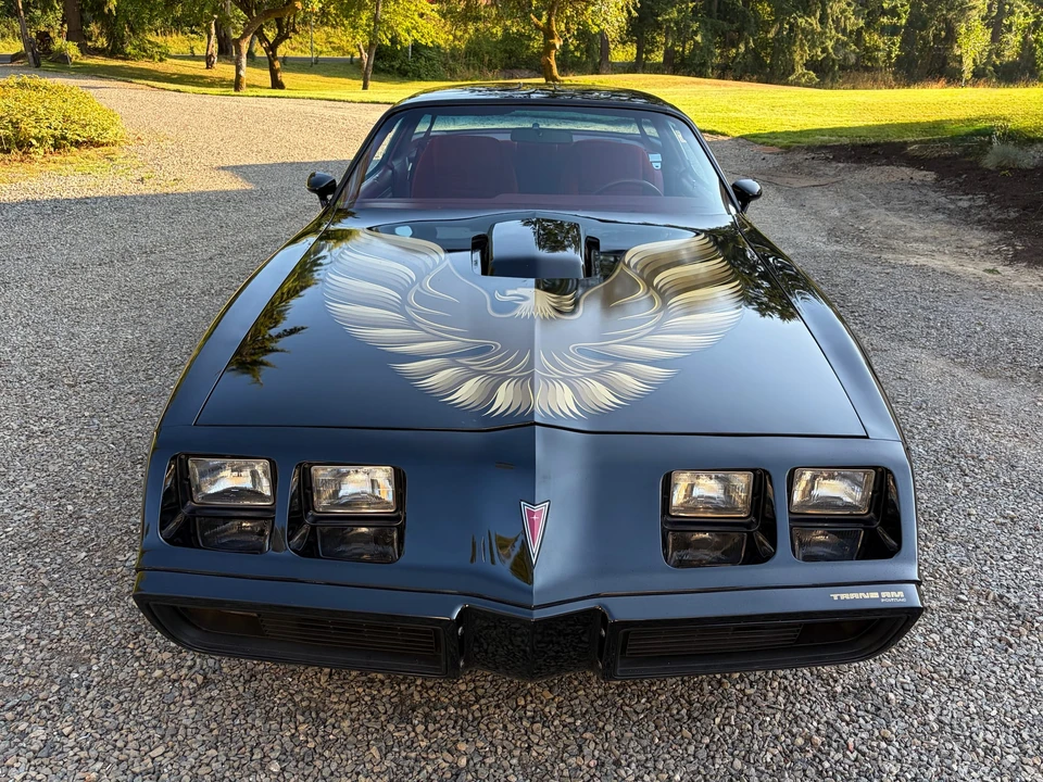 1979 Pontiac Firebird Trans Am 2nd Gen - Image 15 of 31