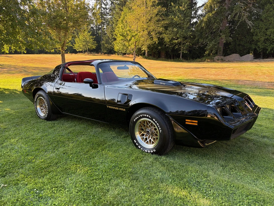 1979 Pontiac Firebird Trans Am 2nd Gen - Image 18 of 31