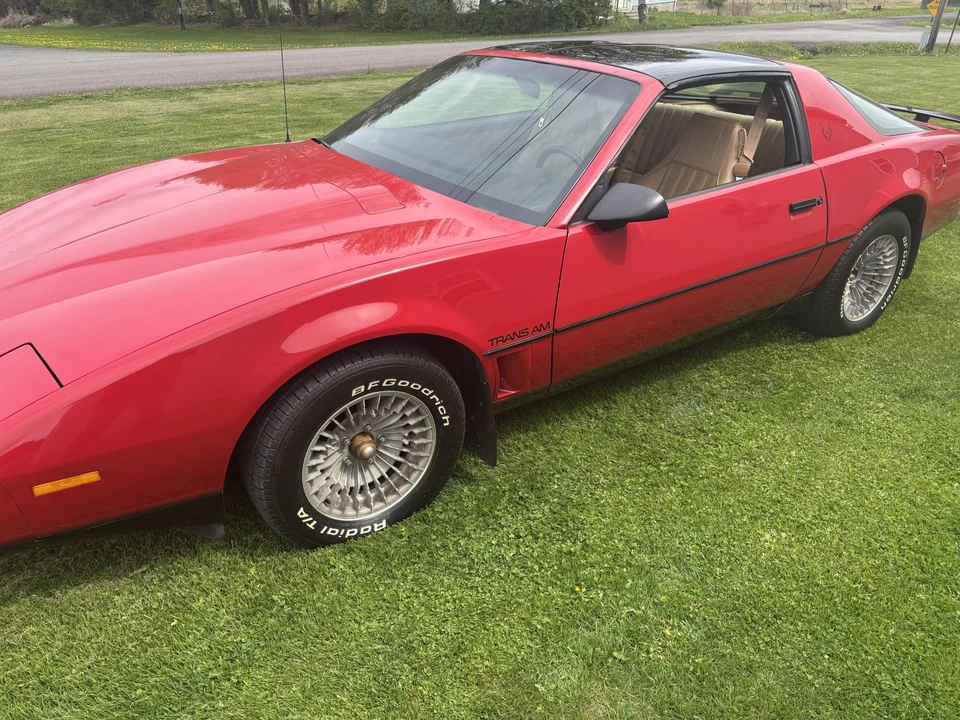 1982 Pontiac Firebird Trans Am 3rd Gen - Image 13 of 31