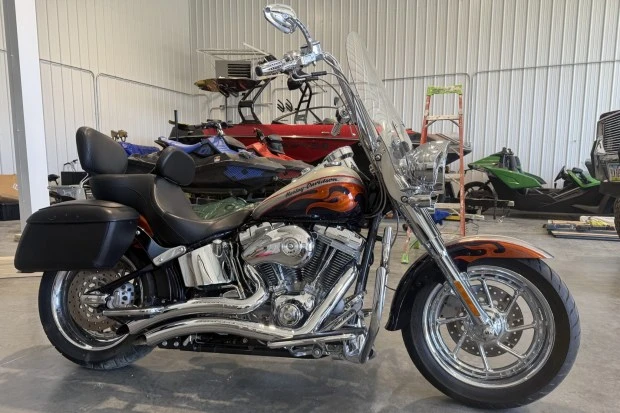 2006 Harley-Davidson Softail - Image 2 of 6