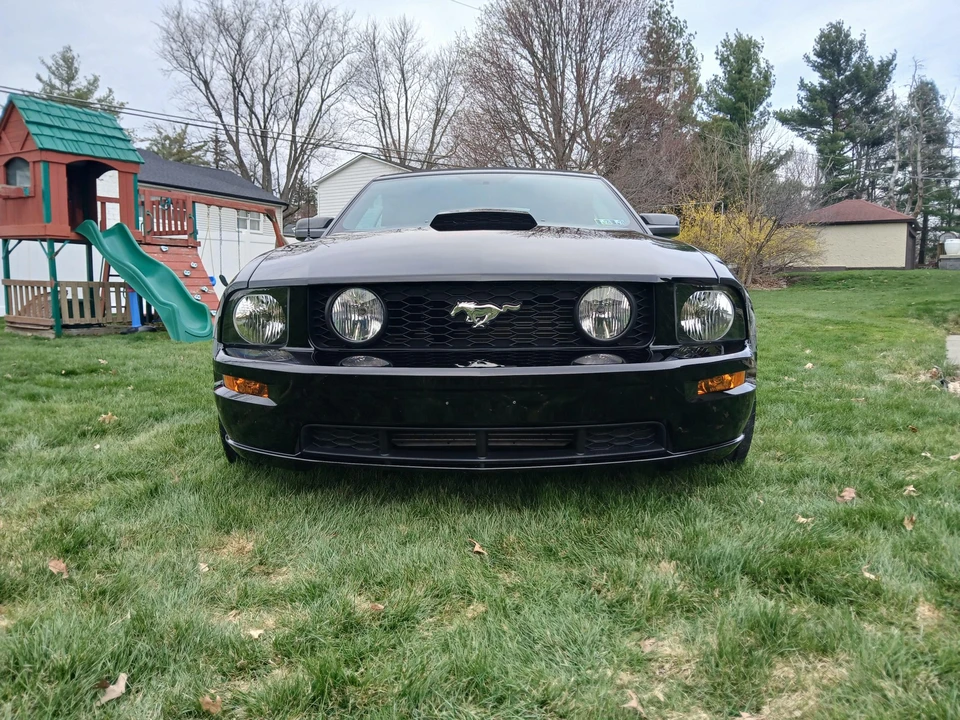 2009 Ford S197 Mustang - Image 24 of 31