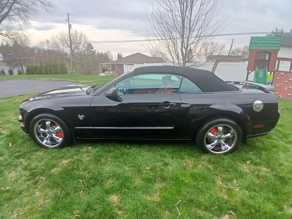 2009 Ford S197 Mustang - Image 20 of 31