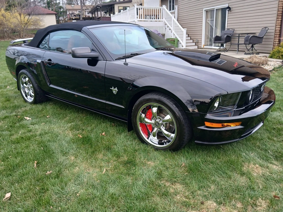 2009 Ford S197 Mustang - Image 14 of 31