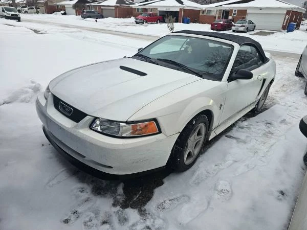 1999 Ford SN95 Mustang - Image 13 of 15