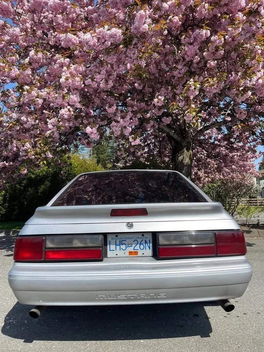 1992 Ford Mustang 3rd Gen - Image 5 of 10