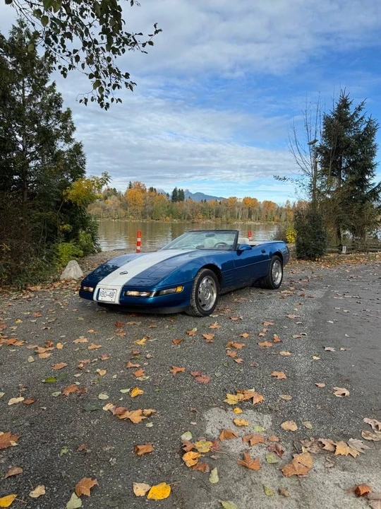 1993 Chevrolet Corvette C4 - Image 7 of 8